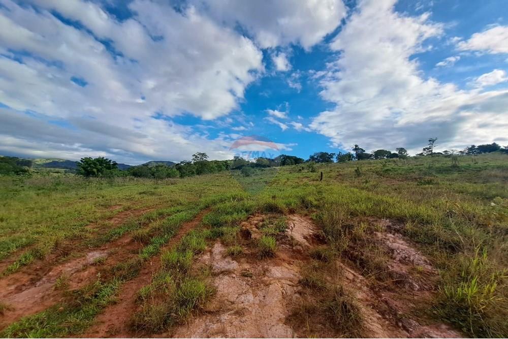 Fazenda - Venda - Cajuru , São Paulo - IMG-20250406-WA0150.jpg - 780171030-57