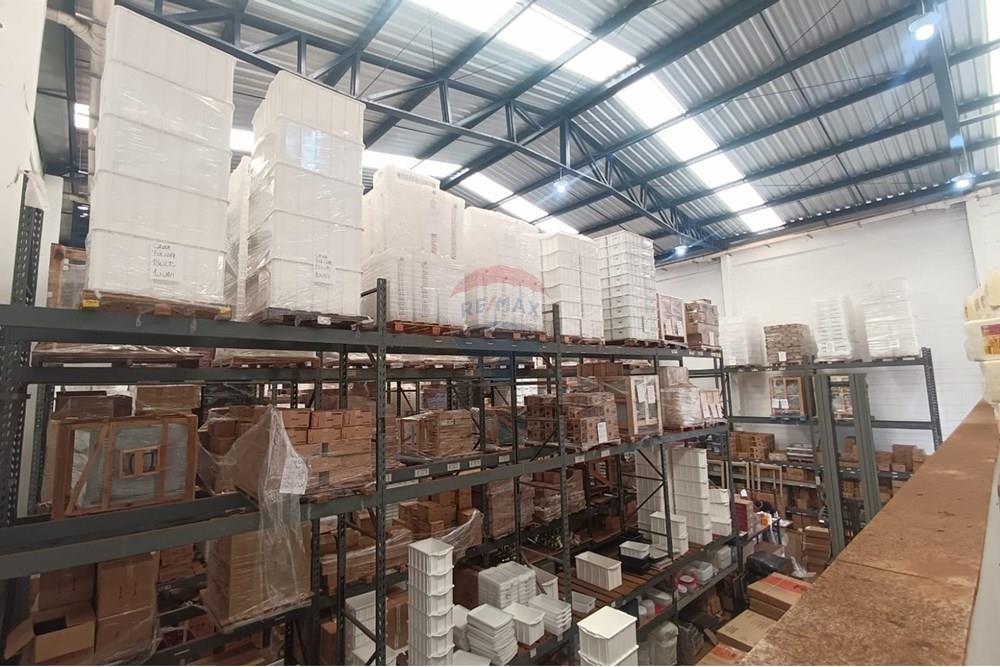 Galpão - Alugar - Ribeirão Preto , São Paulo - IMG-20250910-WA0072.jpg - 780181012-794