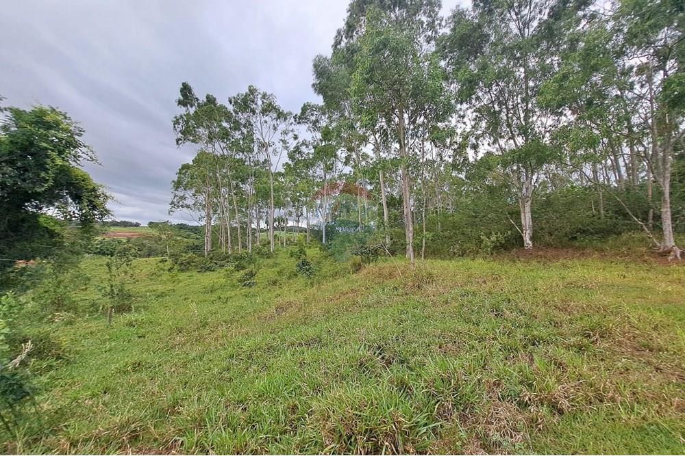 Fazenda - Venda - Cajuru , São Paulo - IMG-20250406-WA0104.jpg - 780171030-57