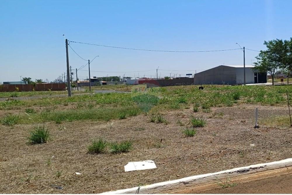 Terreno - Venda - Sertãozinho , São Paulo - IMG-20250926-WA0009.jpg - 780191023-14