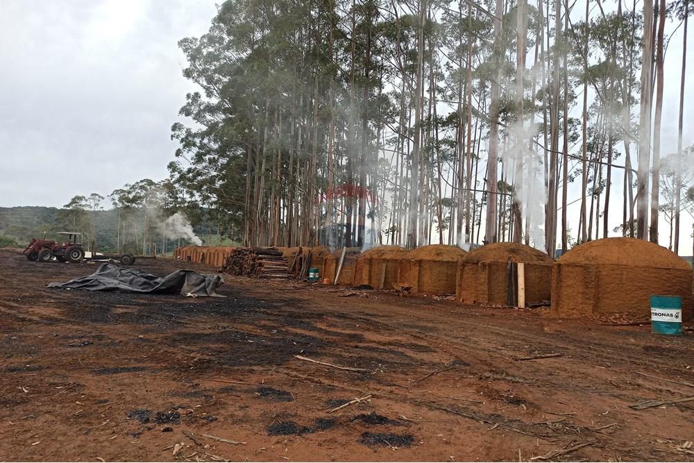 Chácara / Sítio / Fazenda - Venda - Aiuruoca , Minas Gerais - IMG_20241113_155943.jpg - 780251035-5