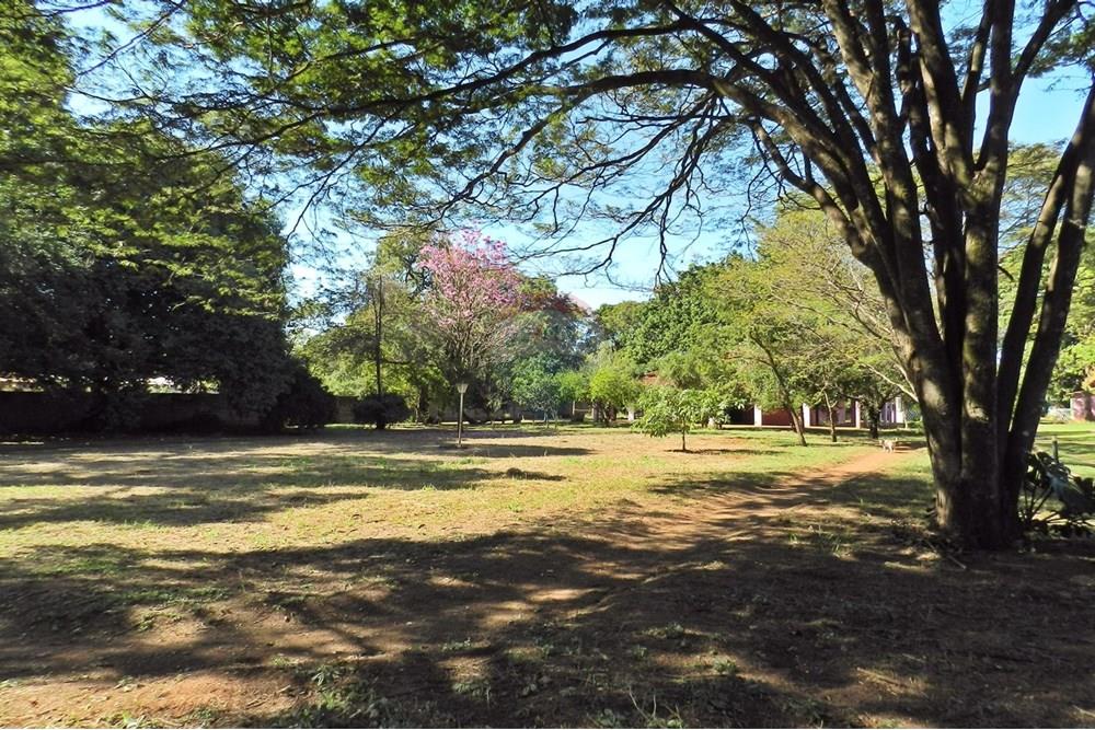 Chácara / Sítio / Fazenda - Venda - Ribeirão Preto , São Paulo - 11.JPG - 780091070-39