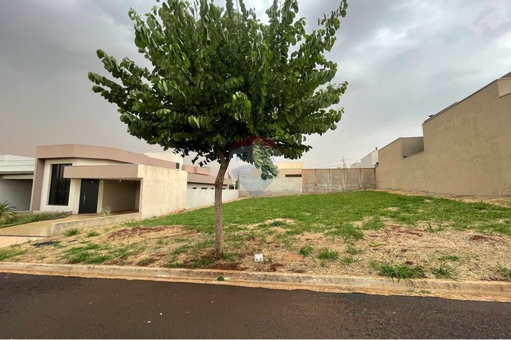 Terreno - Venda - Ribeirão Preto , São Paulo - WhatsApp Image 2025-10-27 at 12.05.31.jpeg - 780171048-102