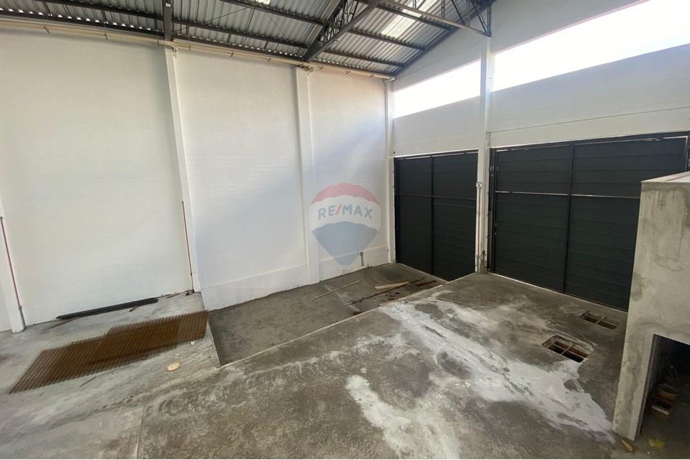 Galpão - Alugar - Ribeirão Preto , São Paulo - IMG-20250319-WA0004.jpg - 780181012-596