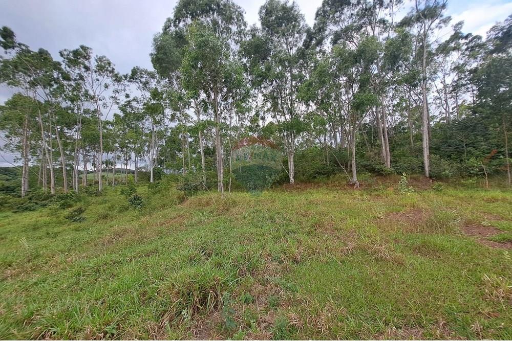 Chácara / Sítio / Fazenda - Venda - Cajuru , São Paulo - IMG-20250406-WA0105.jpg - 780171030-59