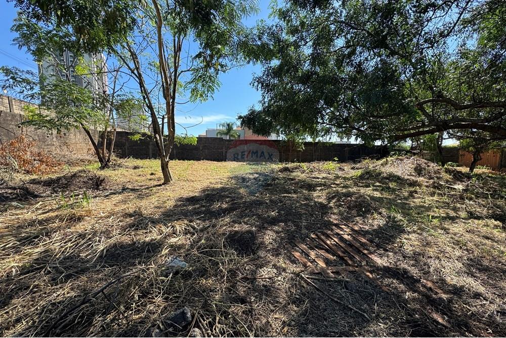 Terreno - Venda - Ribeirão Preto , São Paulo - IMG_7913.JPG - 780171042-30