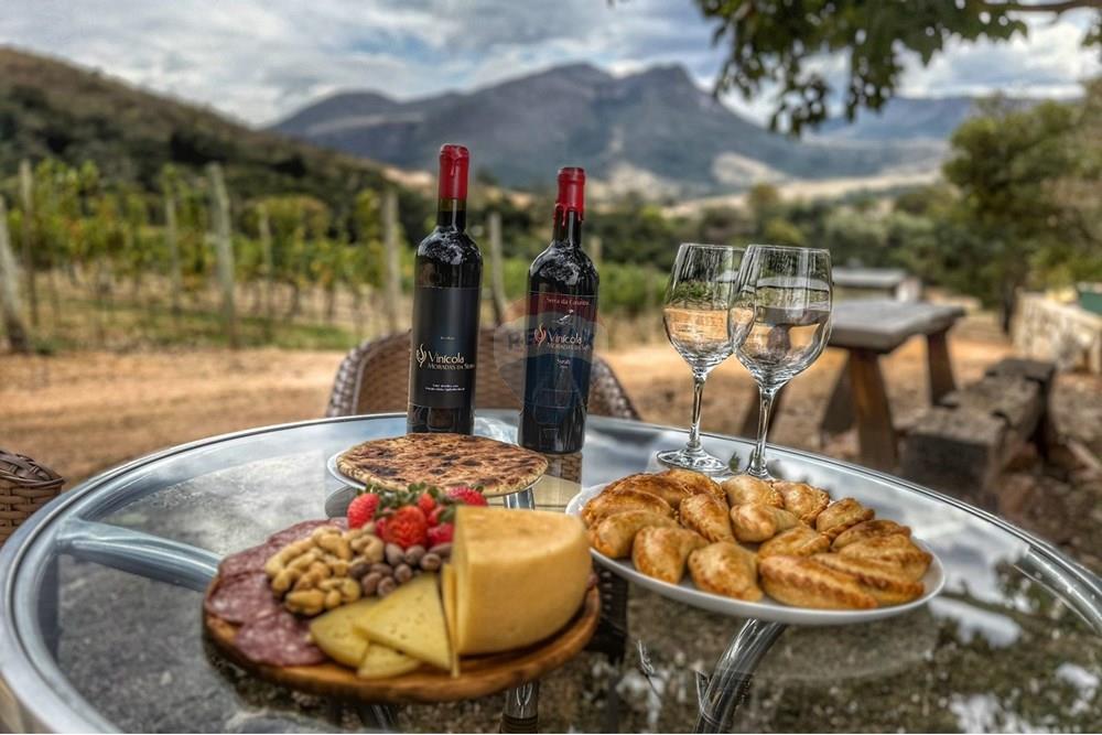 Hotel/ Pousada - Venda - São João Batista do Glória , Minas Gerais - IMG-20250807-WA0003.jpg - 780251001-47