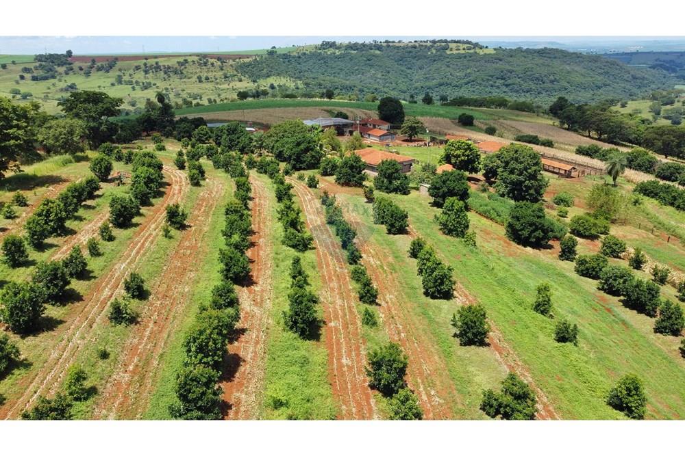 Chácara / Sítio / Fazenda - Venda - Brodowski , São Paulo - IMG-20250313-WA0176.jpg - 780131009-119