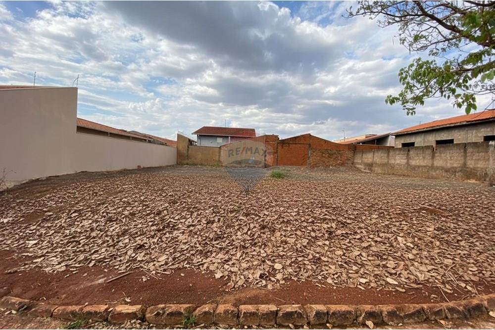 Terreno - Venda - São Joaquim da Barra , São Paulo - 19.jpg - 780301006-44