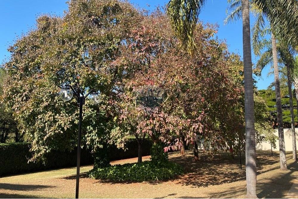 Casa de Condomínio - Venda - Ribeirão Preto , São Paulo - 45.jpeg - 780151014-70