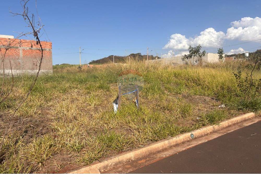 Terreno - Venda - Ribeirão Preto , São Paulo - Vila dos Mirantes - Vista Bela (8).jpg - 780261002-50
