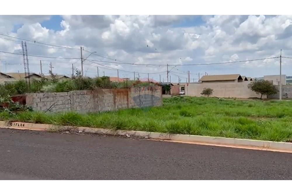 Terreno - Venda - Cravinhos , São Paulo - Terras de Carvinhos - Terreno 13.jpg - 780271023-5