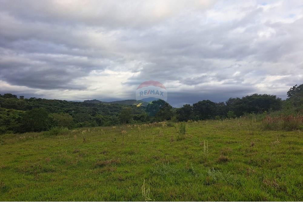 Fazenda - Venda - Cajuru , São Paulo - IMG-20250406-WA0096.jpg - 780171030-57