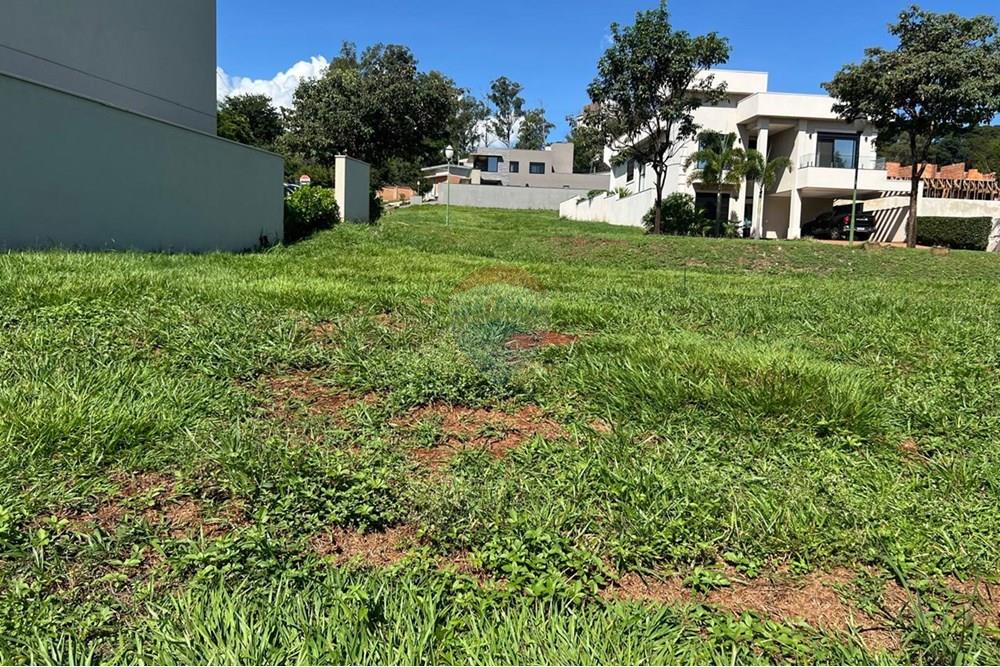 Terreno - Venda - Ribeirão Preto , São Paulo - foto 6.jpeg - 780171044-16