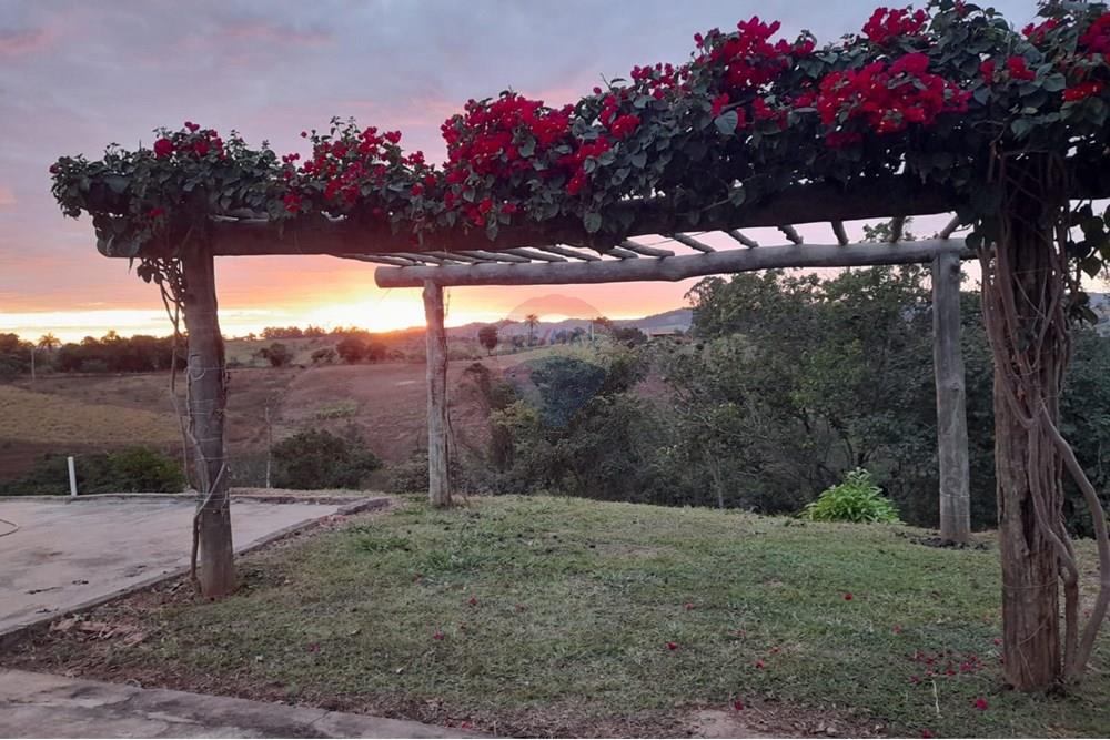 Chácara / Sítio / Fazenda - Venda - Pratápolis , Minas Gerais - WhatsApp Image 2025-08-07 at 20.51.07 (1).jpeg - 780191018-8