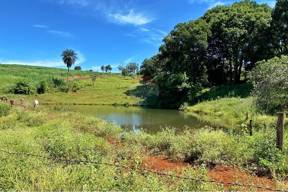 Chácara / Sítio / Fazenda - Venda - Brodowski , São Paulo - nova 19 .jpg - 780131009-119