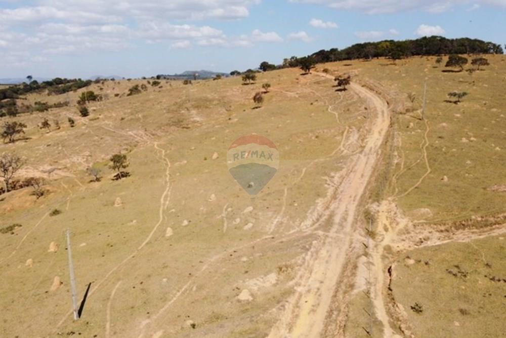 Agro - Venda - Guapé , Minas Gerais - Fazenda Guape 11.jpg - 780071051-6