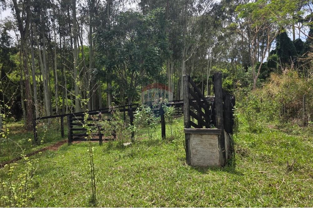 Chácara / Sítio / Fazenda - Venda - Santo Antônio da Alegria , São Paulo - IMG-20251020-WA0232.jpg - 780171030-66