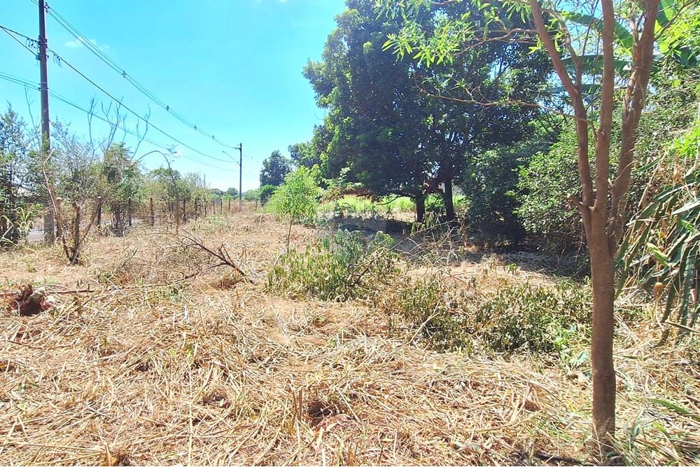 Terreno - Venda - Guatapará , São Paulo - 20250316_110103.jpg - 780261028-15