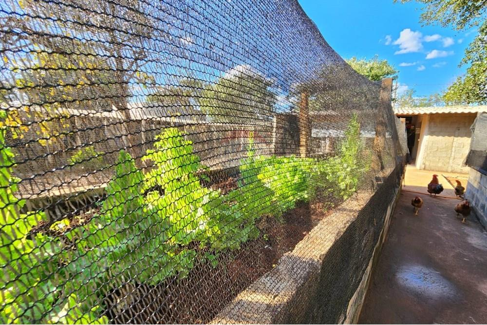 Chácara / Sítio / Fazenda - Venda - Ribeirão Preto , São Paulo - WhatsApp Image 2025-06-27 at 11.00.05.jpeg - Pátio interno - 780091032-138