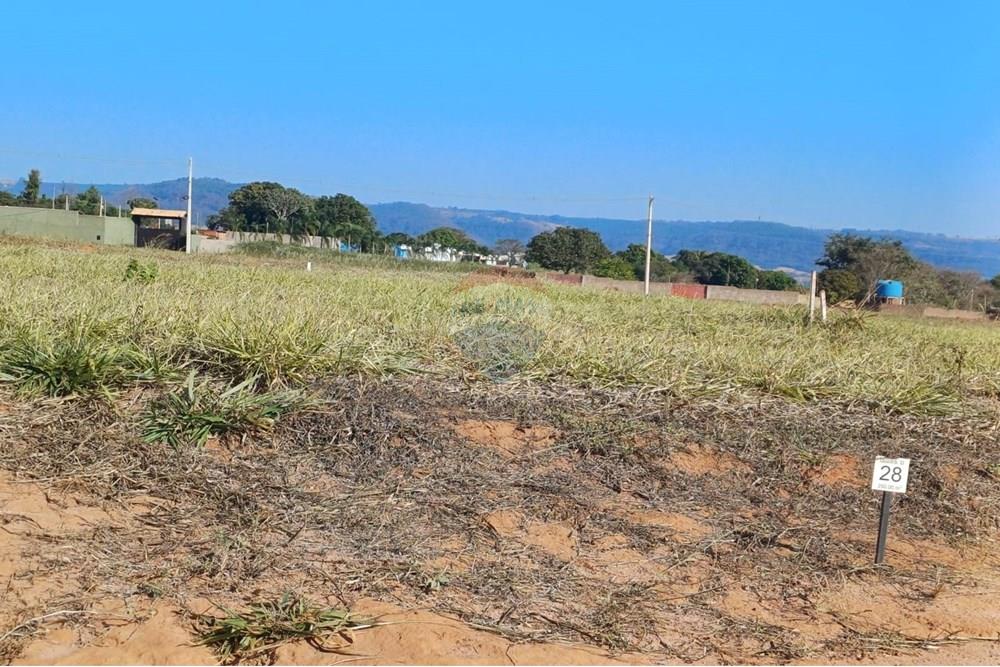 Terreno - Venda - Sacramento , Minas Gerais - IMG-20250705-WA0056.jpg - 780231022-109