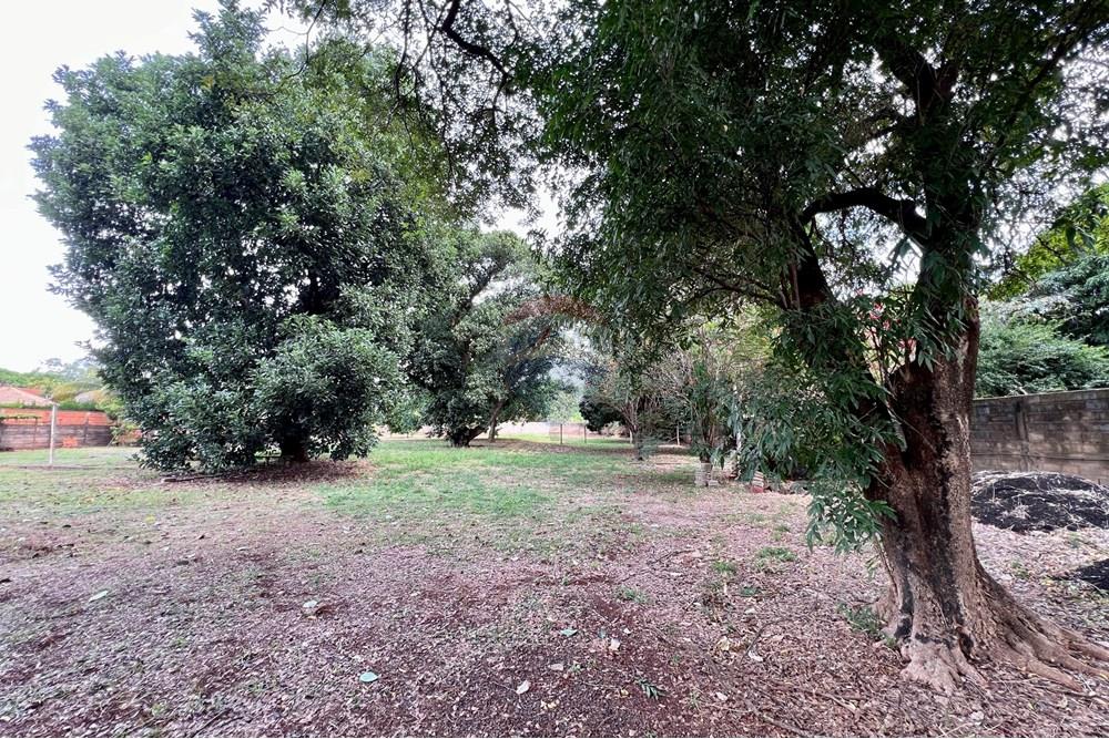 Chácara / Sítio / Fazenda - Venda - Ribeirão Preto , São Paulo - image00065.jpeg - 780201013-67