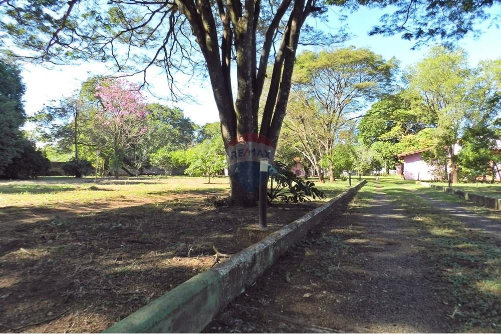 Chácara / Sítio / Fazenda - Venda - Ribeirão Preto , São Paulo - 12.JPG - 780091070-39