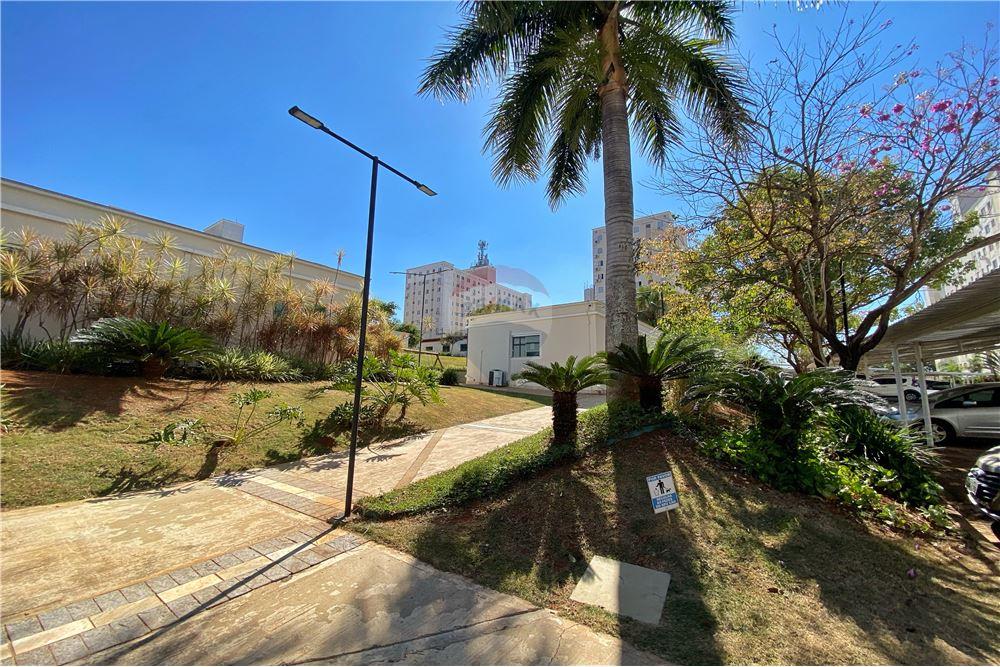 Apartamento - Venda - Ribeirão Preto , São Paulo - 24 - 780171018-350