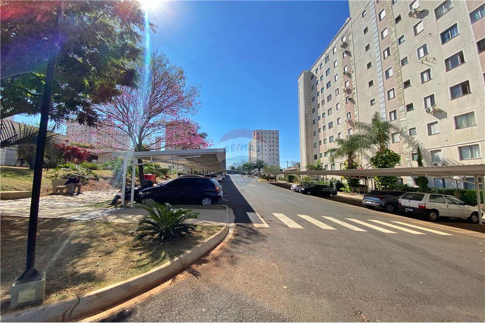 Apartamento - Venda - Ribeirão Preto , São Paulo - 43 - 780171018-350