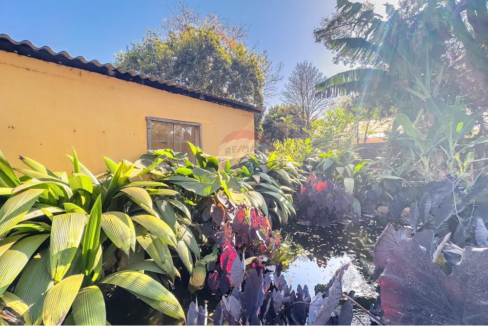 Chácara / Sítio / Fazenda - Venda - Ribeirão Preto , São Paulo - Itanhanga-37.jpg - Jardim Externo - 780071024-78