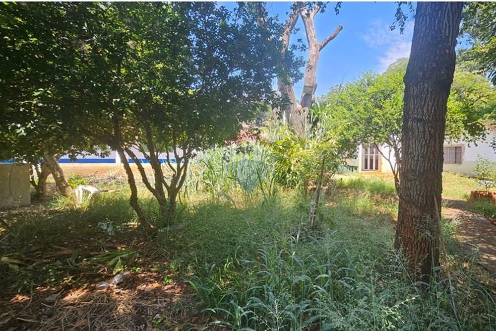 Chácara / Sítio / Fazenda - Venda - Ribeirão Preto , São Paulo - WhatsApp Image 2025-03-10 at 20.31.32 (2).jpeg - 780131049-33