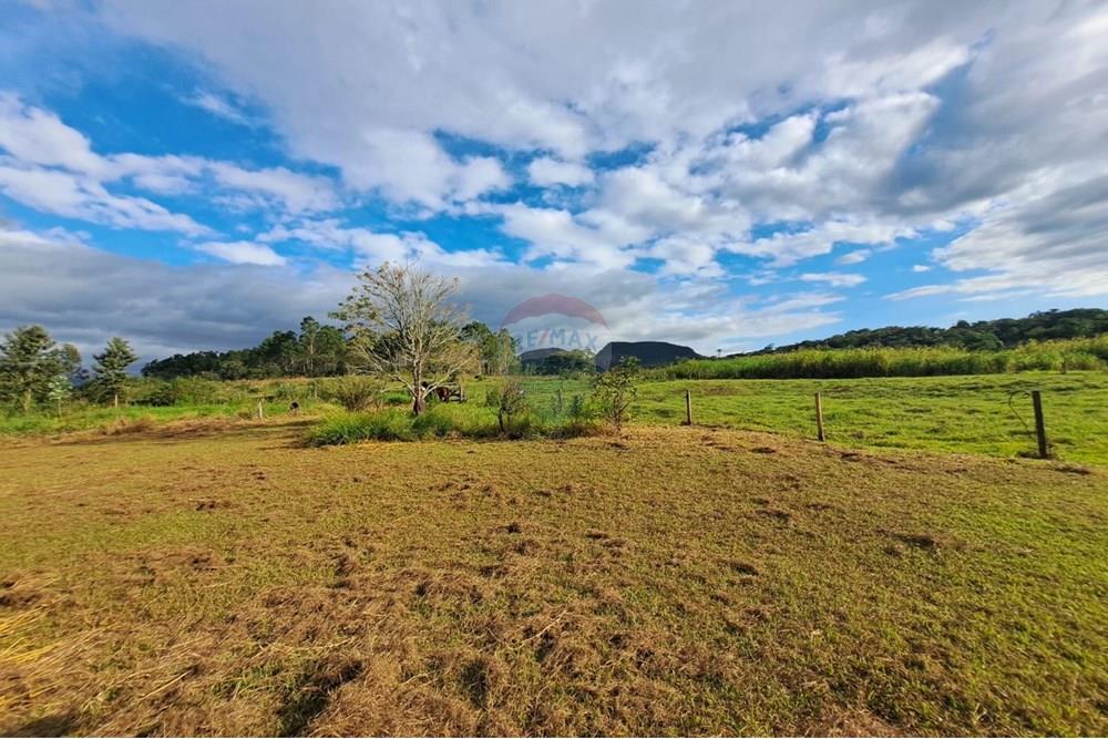 Chácara / Sítio / Fazenda - Venda - Cajuru , São Paulo - IMG-20250406-WA0114.jpg - 780171030-59