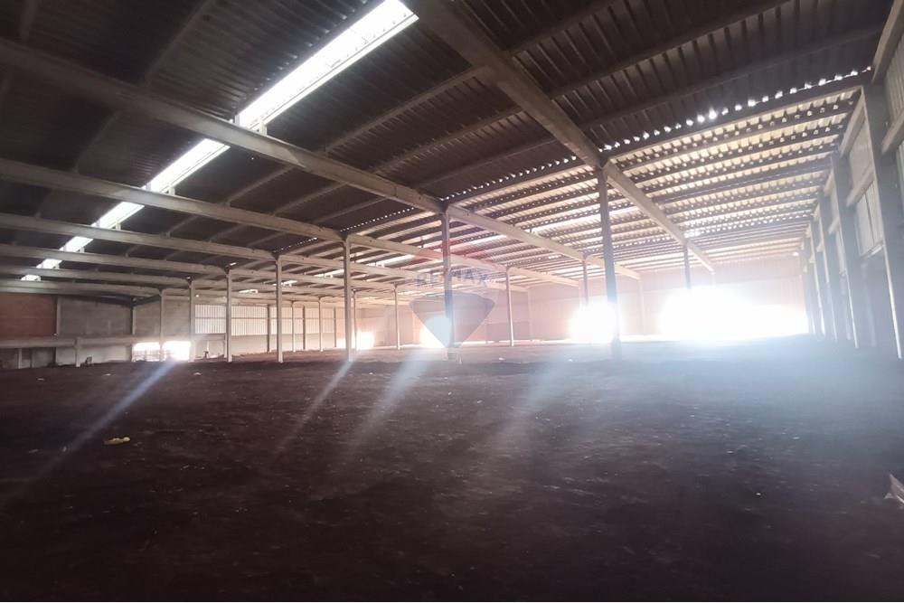 Galpão - Alugar - Ribeirão Preto , São Paulo - IMG_20250919_145312.jpg - 780181012-806