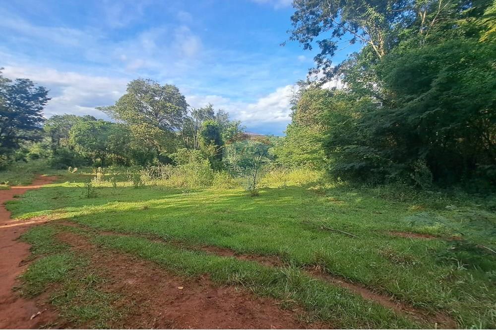 Fazenda - Venda - Cajuru , São Paulo - IMG-20250406-WA0192.jpg - 780171030-57