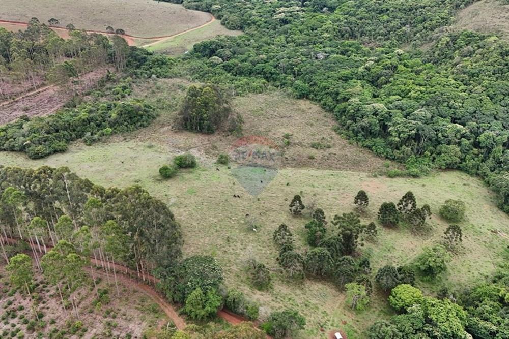 Chácara / Sítio / Fazenda - Venda - Aiuruoca , Minas Gerais - DJI_20241113155309_0319_D.JPG - 780251035-5