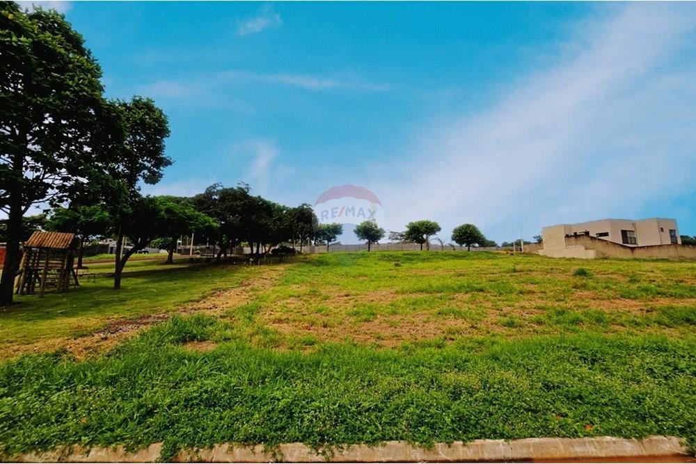 Terreno - Venda - Ribeirão Preto , São Paulo - WhatsApp Image 2025-01-19 at 12.11.08.jpeg - 780251037-65