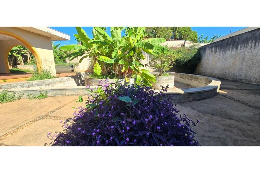 Chácara / Sítio / Fazenda - Venda - Ribeirão Preto , São Paulo - photo_32_2025-04-09_12-00-54.jpg - 780271014-23