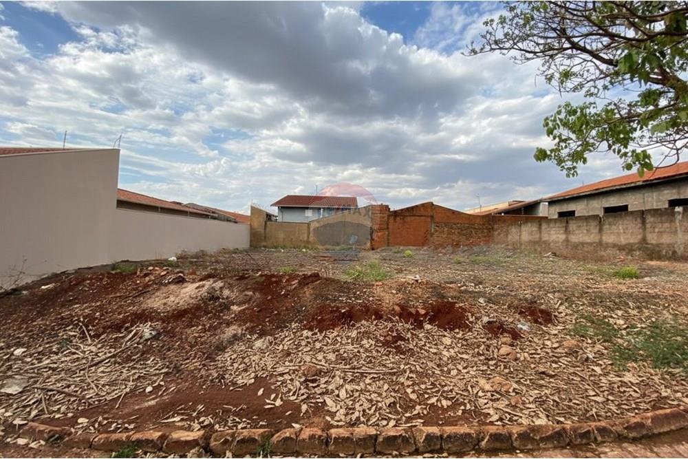 Terreno - Venda - São Joaquim da Barra , São Paulo - 18.jpg - 780301006-44