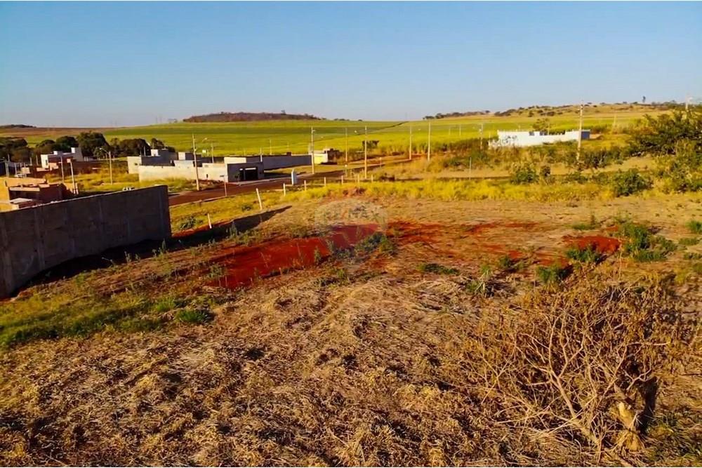 Terreno - Venda - Ribeirão Preto , São Paulo - WhatsApp Image 2025-08-18 at 09.47.56 (2).jpeg - 780241032-2