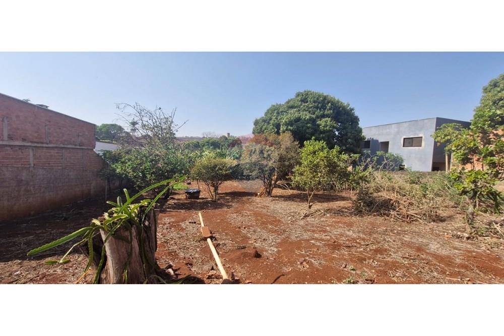 Casa - Venda - Dumont , São Paulo - 8ddea84f-87ee-4251-8f09-444b21b007b6.jpeg - 780181011-257