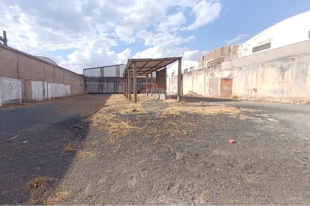 Outros - Alugar - Ribeirão Preto , São Paulo - IMG-20250812-WA0035.jpg - 780181012-754