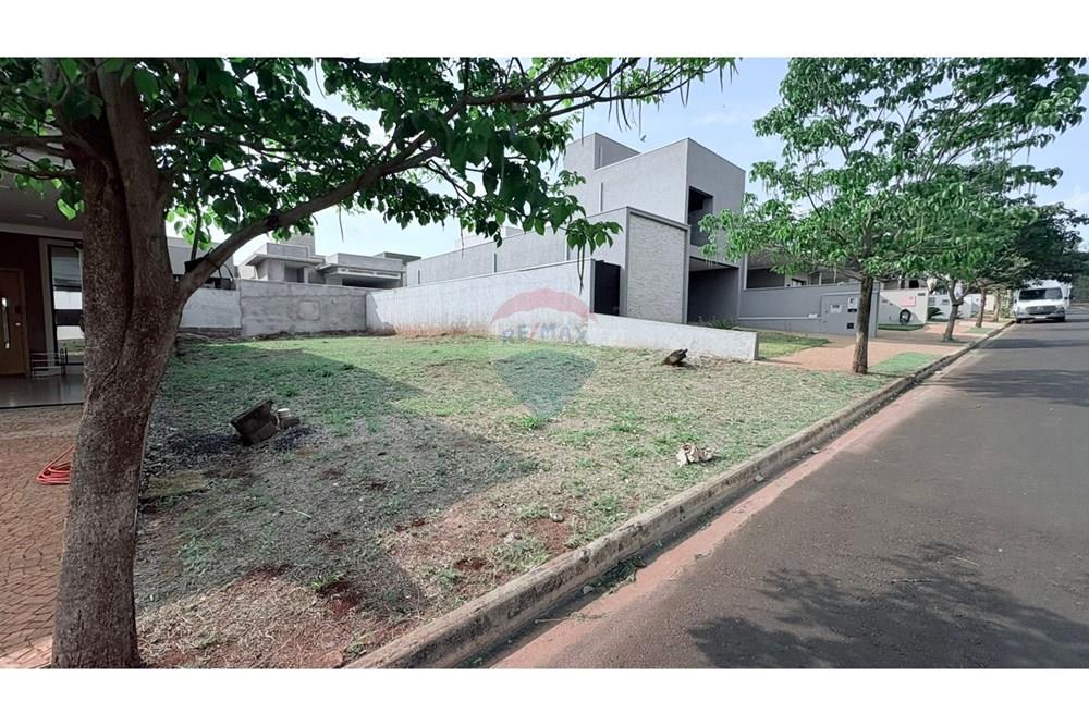 Terreno - Venda - Ribeirão Preto , São Paulo - IMG-20251016-WA0137.jpg - 780211038-55