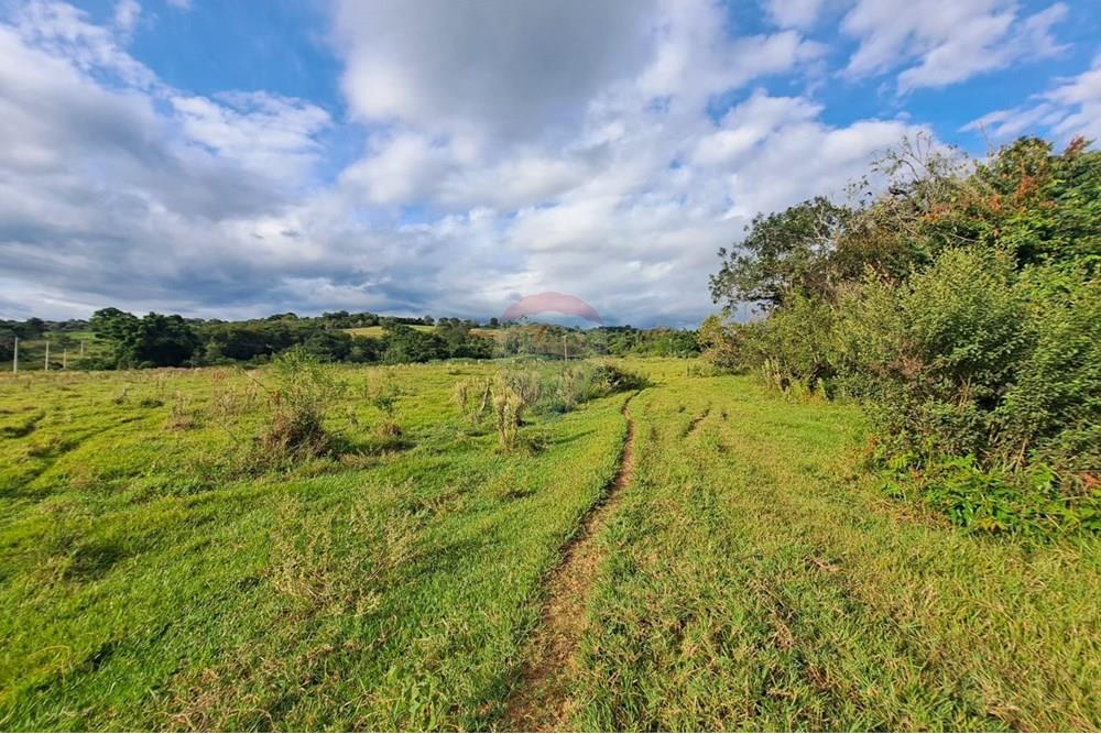 Chácara / Sítio / Fazenda - Venda - Cajuru , São Paulo - IMG-20250406-WA0147.jpg - 780171030-59