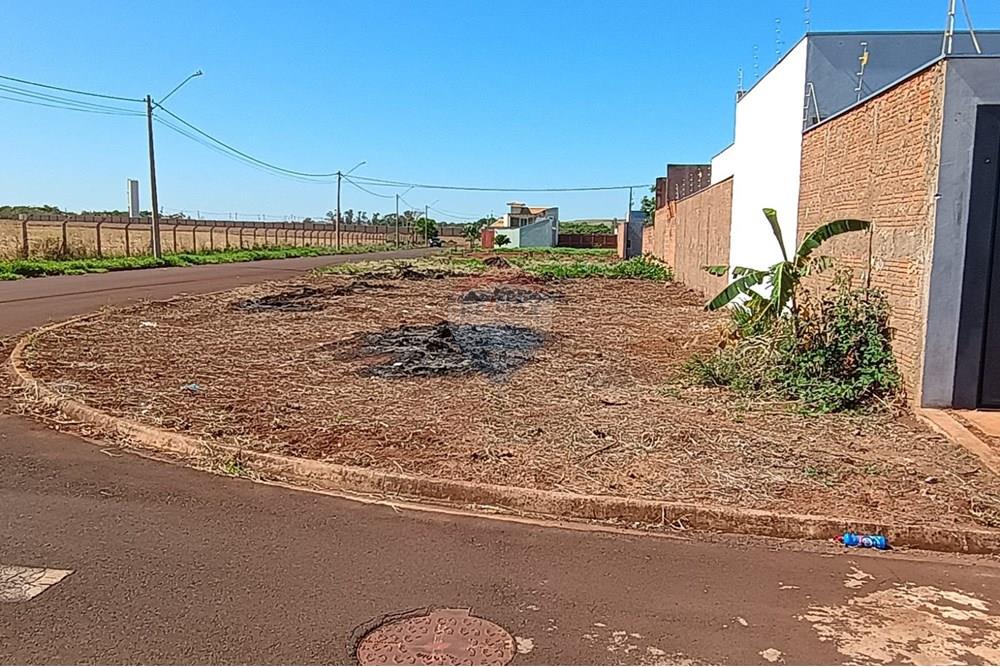 Terreno - Venda - São Joaquim da Barra , São Paulo - IMG-20251023-WA0067.jpg - 780301004-7