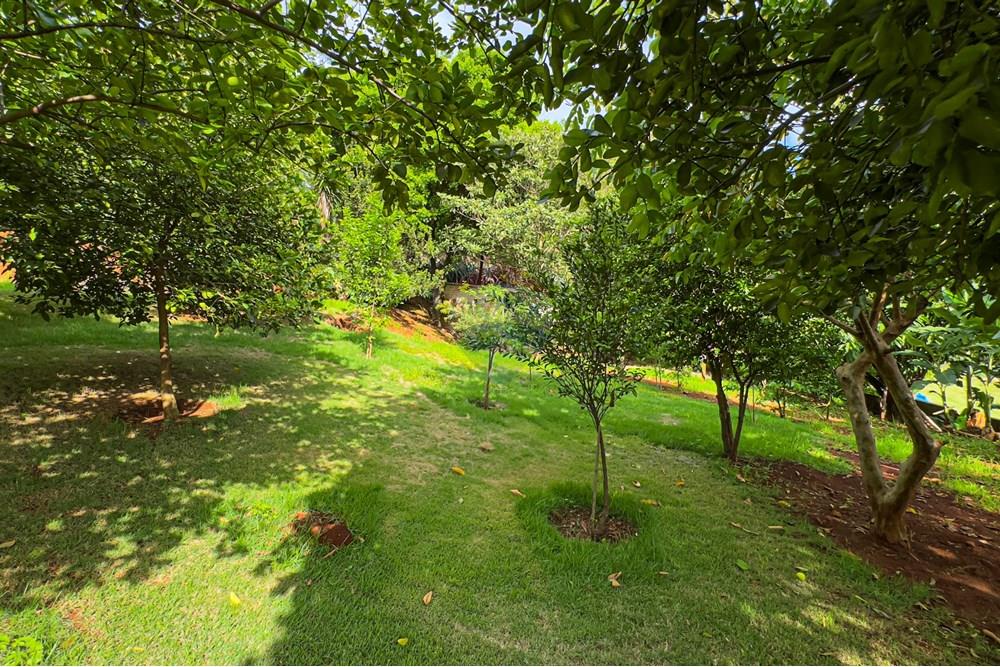 Casa de Condomínio - Venda - Ribeirão Preto , São Paulo - IMG_2567.jpg - 780201017-36