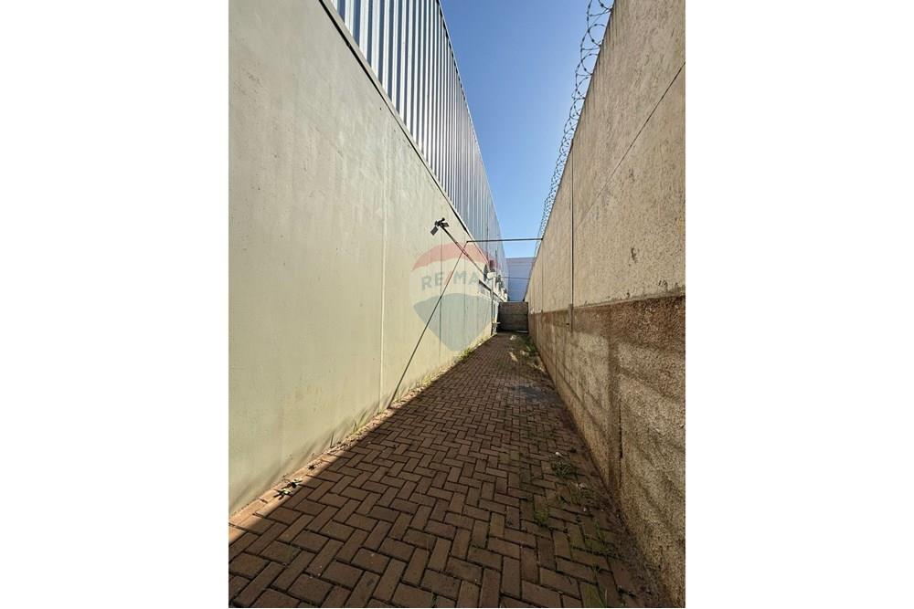 Galpão - Alugar - Ribeirão Preto , São Paulo - IMG-20250725-WA0033.jpg - 780181012-734