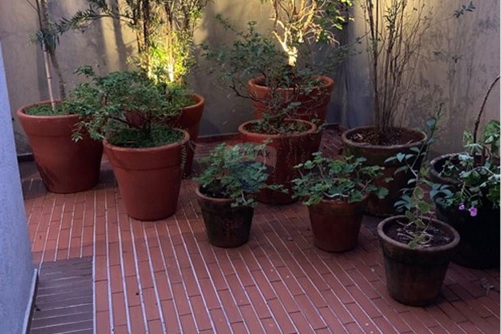 Apartamento - Alugar - Ribeirão Preto , São Paulo - 30.jpg - Jardim Interno - 780241037-68