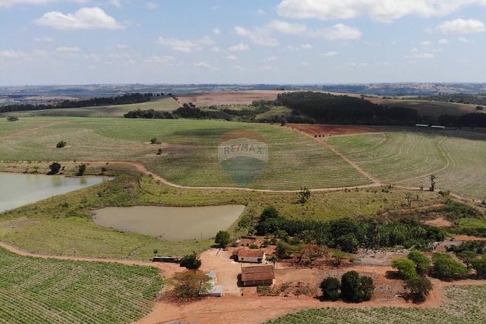 Chácara / Sítio / Fazenda - Venda - Tatuí , São Paulo - C3D7F9FB-692A-4DE1-ACA9-F1A8BCF0486D.jpg - 780131001-95