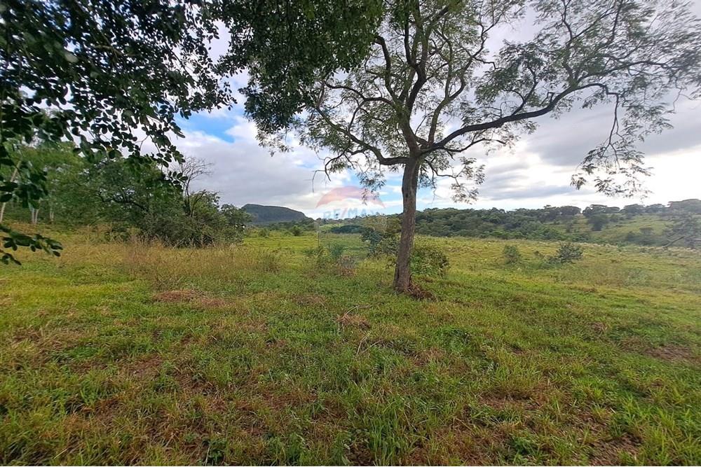 Chácara / Sítio / Fazenda - Venda - Cajuru , São Paulo - IMG-20250406-WA0110.jpg - 780171030-59