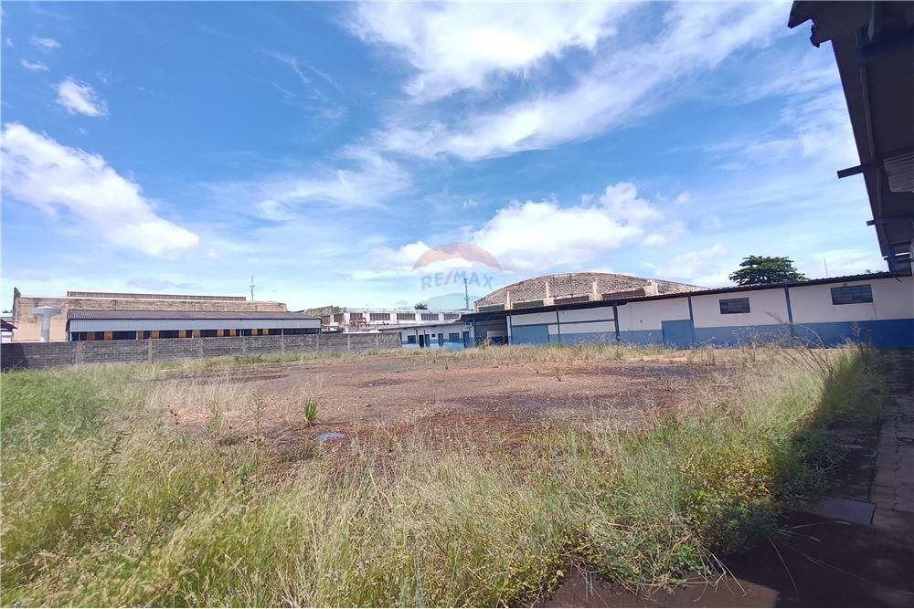 Galpão - Venda - Ribeirão Preto , São Paulo - 9 - 780181012-337